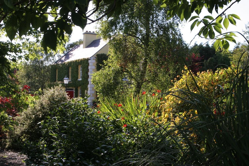 Friars Quarter House Bed & Breakfast Балинроуб Екстериор снимка